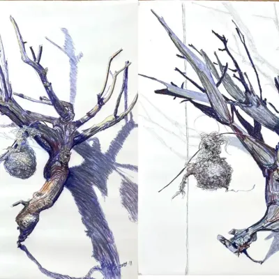 (2) Original Nancy Shand Pastels on Paper - "Antlers and Nest I and II"
