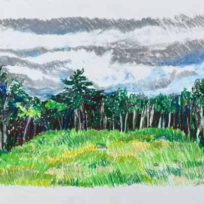 Original Nancy Shand Pastel on Paper - "Green Meadow"