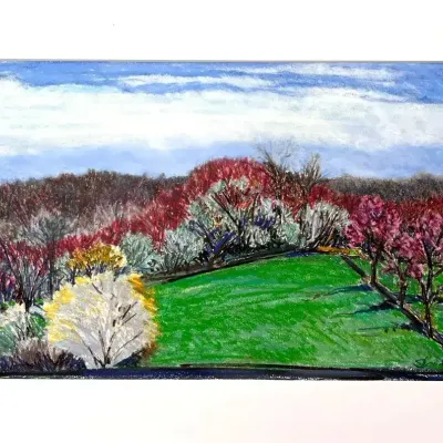 Original Nancy Shand Pastel on Paper - "Martha's Fields Spring"
