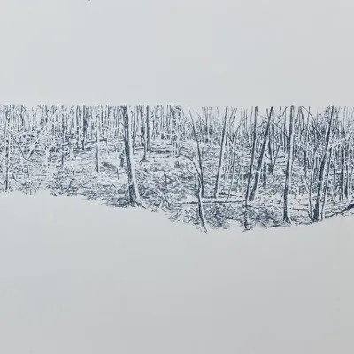 Original Nancy Shand Print - "Into the Woods I"