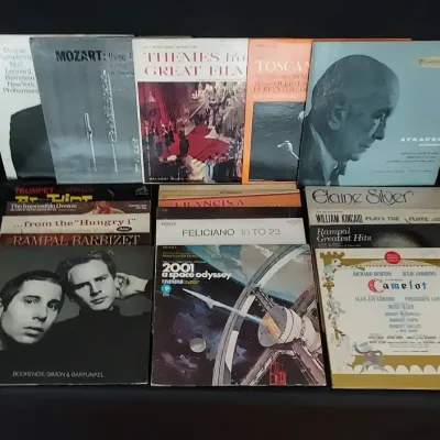 Mixed Vinyl Records Lot