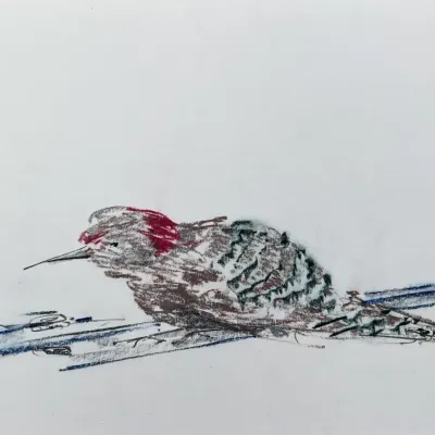 Original Nancy Shand Pastel on Paper - "Flicker"
