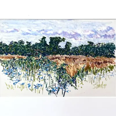 Original Nancy Shand Pastel on Paper - "Sapowet Fields"