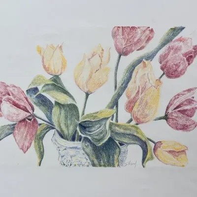 Original Nancy Shand Pastel on Paper - "Tulips"