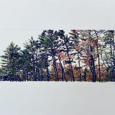 Original Nancy Shand Pastel on Paper - "Frieze of Trees"