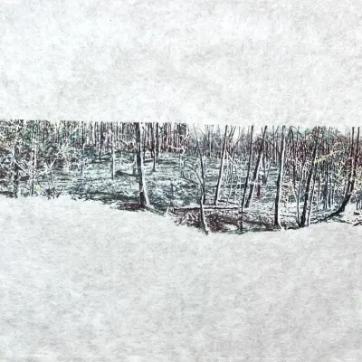 Original Nancy Shand Hand Colored Print on Rice Paper - "Into the Woods III"