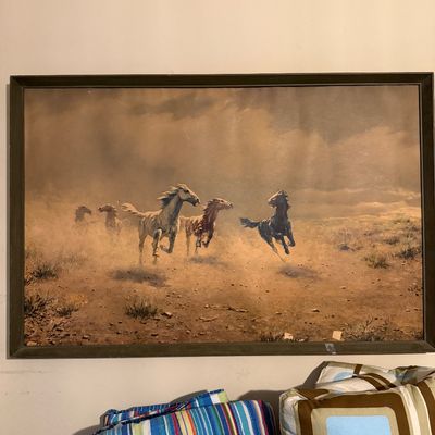 Sale Photo Thumbnail #77