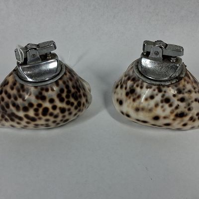 Sale Photo Thumbnail #369: Pair Japanese Tiger Cowrie Lighters