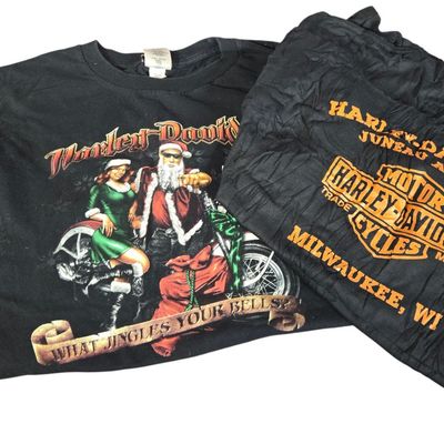 Two Harley-Davidson T-Shirts with 110th Anniversary and What Jingles Your Bells Graphics