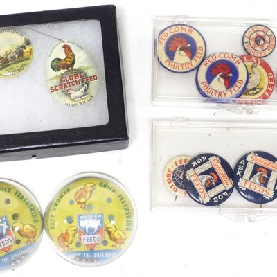 Sale Photo Thumbnail #324: Assorted pin backs and Master Mix Feeds games