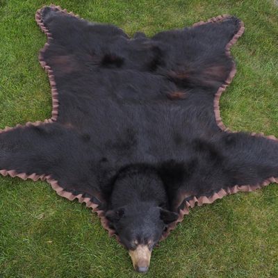 Sale Photo Thumbnail #189: Black bear rug