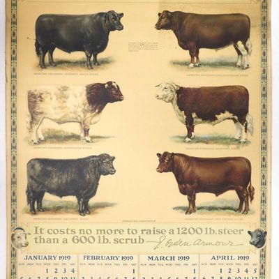 Sale Photo Thumbnail #200: 1919 Armour's Breeding Chart calendar