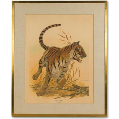 Sale Photo Thumbnail #506: John Ruthven "Bengal Tiger" Lithograph