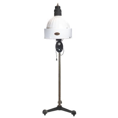 Sale Photo Thumbnail #162: Universal Therapeutic Floor Lamp