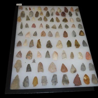 Sale Photo Thumbnail #405: 12" x 18" Riker Frame of Triangular and Miscellaneous Bird Points, Kansas