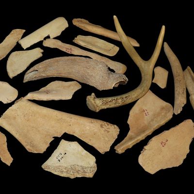 Sale Photo Thumbnail #502: Box of Bone Tools and Antler, Mandan Site, Dakotas
