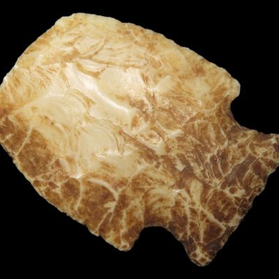 Sale Photo Thumbnail #375: 1 3/8" Stilwell Blunt, Creek-Stained Burlington Chert, Butler Co., Missouri, Ex. George Robertson