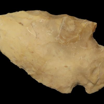 Sale Photo Thumbnail #367: 2 3/4" Snyder, Local Chert, Butler Co., Missouri, Ex. George Robertson