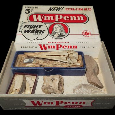 Sale Photo Thumbnail #611: Lot of Miscellaneous Bone Tools, Awls, and Teeth