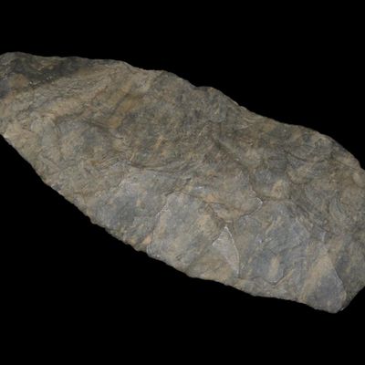 Sale Photo Thumbnail #424: 3 5/8" Archaic Blade, Dover Chert