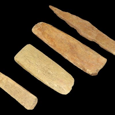 Sale Photo Thumbnail #453: Lot of Mandan Adze and Awls, Dakotas and Kansas