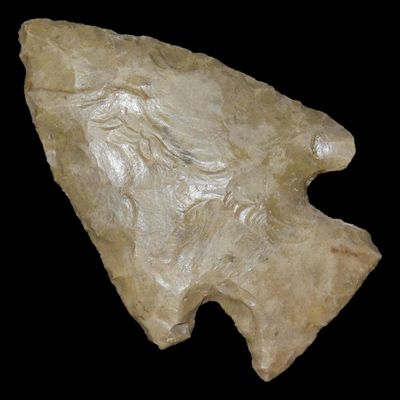 Sale Photo Thumbnail #198: 2 3/4" Woodland Point, Found in Missouri