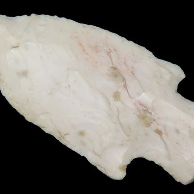 2 1/2" Etley Point, St. Louis Co., Missouri