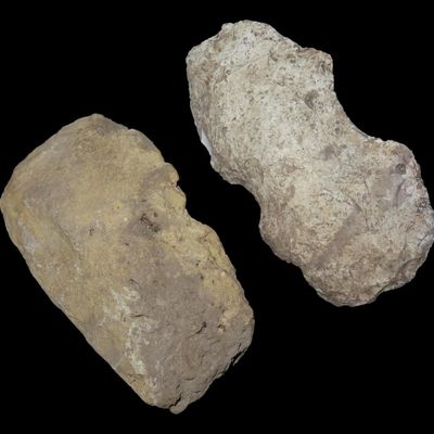 Sale Photo Thumbnail #548: Lot of 2 Flint Tools, 1 Flint Axe and 1 Flint Adze, Indiana