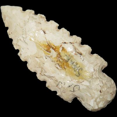 Sale Photo Thumbnail #524: 3 1/4" Eccentric Spear Point