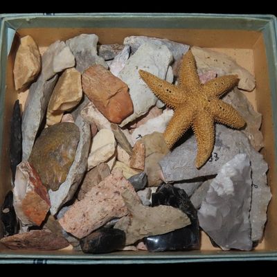 Sale Photo Thumbnail #503: Box of Miscellaneous Flint Bird Points, Drills, and Thumb Scrapers, All from Same Site in Kansas