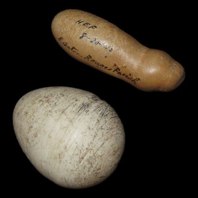 Sale Photo Thumbnail #471: Flint Egg and Polished Tool, East Baton Rouge, Louisiana