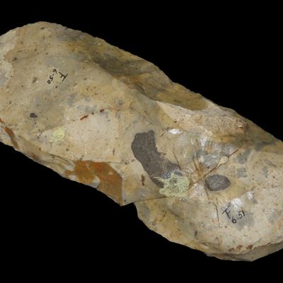 Sale Photo Thumbnail #459: 8 1/8" Polished Hoe, Colorful Chert, Kansas