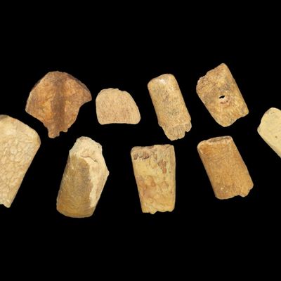 Sale Photo Thumbnail #452: Lot of Mandan Bone Tools and Adzes, Dakotas and Kansas