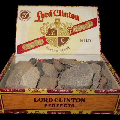 Sale Photo Thumbnail #441: Box of Miscellaneous Pottery Shards, Dakotas, Great Examples for Study