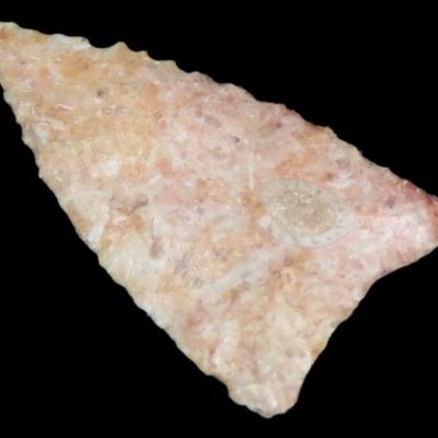 Sale Photo Thumbnail #440: 1 5/8" Fine Triangular Bird Point, Kansas