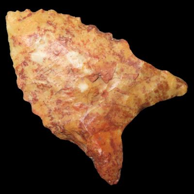 Sale Photo Thumbnail #356: 1 1/2" Dalton Point, Crowleys Ridge Chert, Butler Co., Missouri, Ex. George Robertson