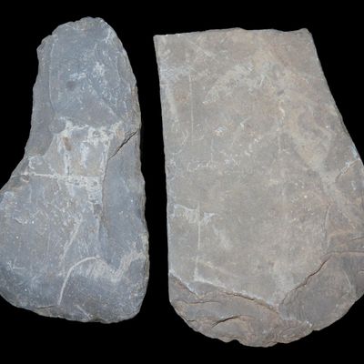 Sale Photo Thumbnail #552: Lot of 2 Slate Preforms, Celt / Gorget Forms, Indiana