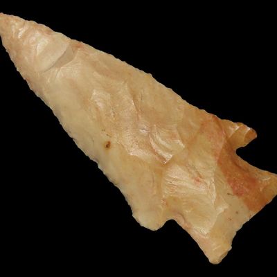 Sale Photo Thumbnail #199: 3 1/8" Hardin, Payson Chert, Adams Co., Illinois