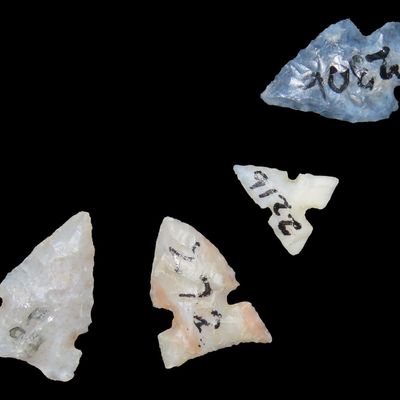 Sale Photo Thumbnail #264: Lot of 4 Bird Points, Matador Ranch, Punta de Agua Creek, Hartley Co., Texas