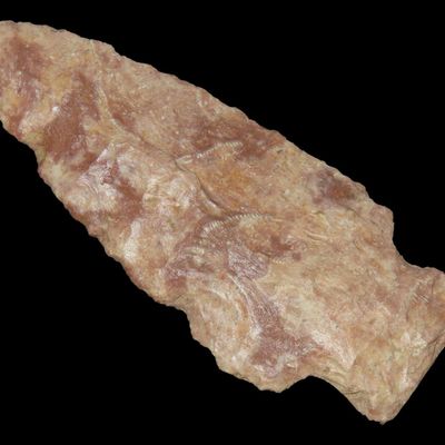 Sale Photo Thumbnail #128: 2 7/8" Square Stem Point, Clark Co., Illinois