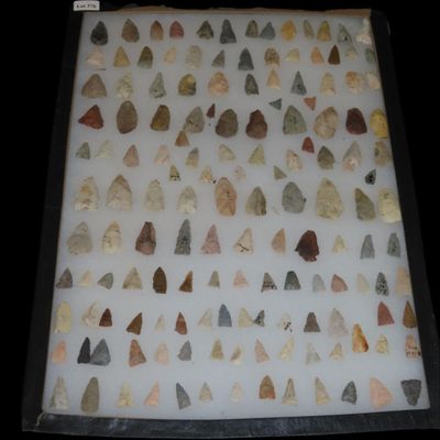 Sale Photo Thumbnail #446: 12" x 18" Riker Frame of Triangular and Round Base Bird Points