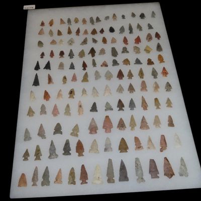 Sale Photo Thumbnail #439: 12" x 18" Riker Frame of Miscellaneous Bird Points, Kansas, Nice Frame Showing Different Examples
