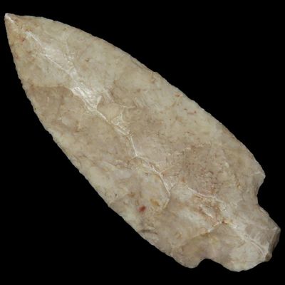 Sale Photo Thumbnail #532: 3 1/2" Adena