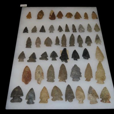 Sale Photo Thumbnail #442: 12" x 18" Riker Frame of Miscellaneous Point Types, Kansas