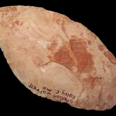 Sale Photo Thumbnail #352: 4 1/4" Adena Leaf Blade, Motley COA, Heat-Treated Burlington Chert, Ripley Co., Missouri, Found by Branson Garrett, Ex. George Robertson