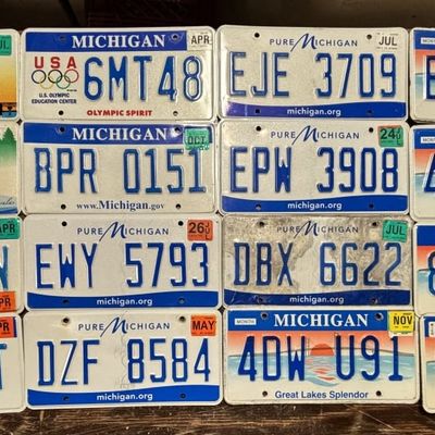 Lot of 16 Assorted Michigan Dates & License Plates