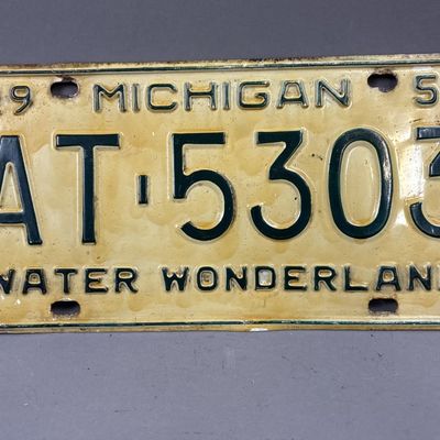 1956 Michigan AT-5303 Water Wonderland Plate
