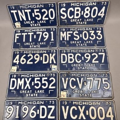Lot of 10 1973 Michigan Great Lake State Plates