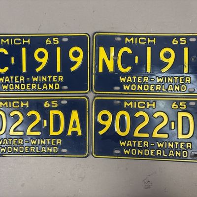 2 Pairs 1965 Water Winter Wonderland Michigan