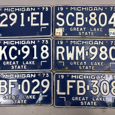 Lot of 6 1973 Michigan Great Lake State Plates